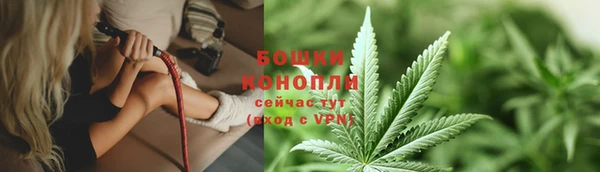 стаф Вязники